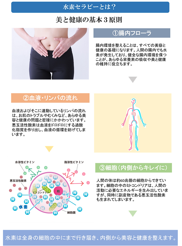 【値下げしました】水素吸入器 Sプラン 値下げしました】水素吸入器 Sプラン - メルカリ